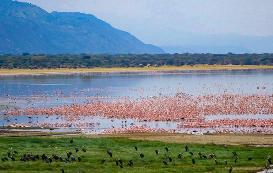 Lake Manyara National Park Der Lake Manyara liegt am Fuße des Great Rift Valley und ist ein Juwel.