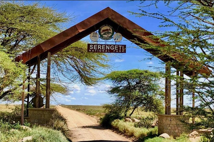Serengeti-Nationalpark Schon der Name weckt ein Gefühl der Ehrfurcht! Die