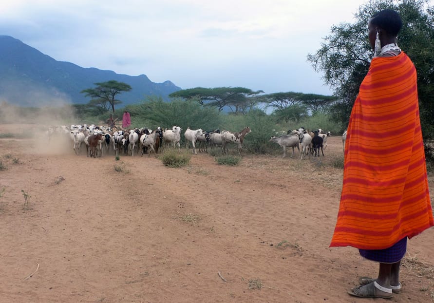 Best Time to Visit Zanzibar: The Ultimate 2025–2026 Seasonal Guide for Swiss Travelers