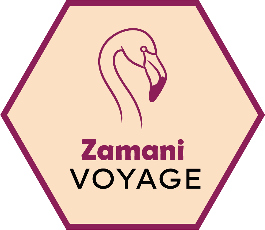 Zamani VOYAGE_Logo