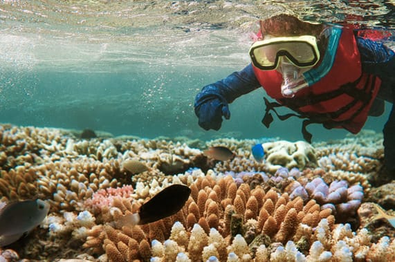 tanzania travel blog solo | Snorkel at Mnemba Atoll