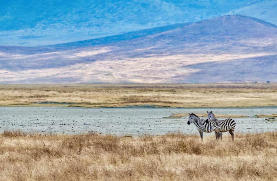 Best Tanzania Itinerary Options: 7, 10, & 14 Day Plans