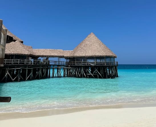 Zanzibar Tanzania Beach Guide: Which to Visit & When (2026)