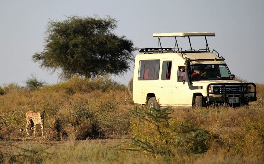 Tanzania with Zanzibar: Ultimate 14-Day Itinerary Guide