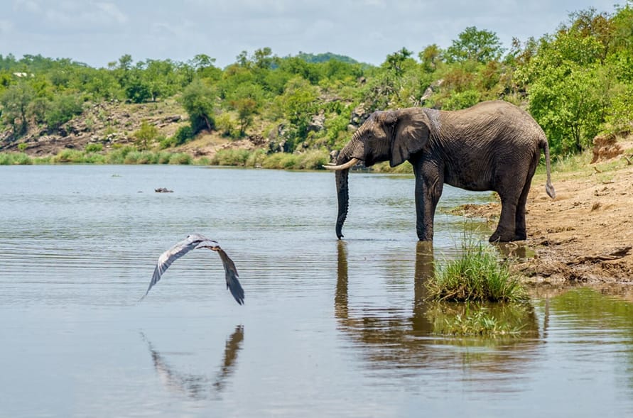 Tag 4: Lake Manyara Ganztag