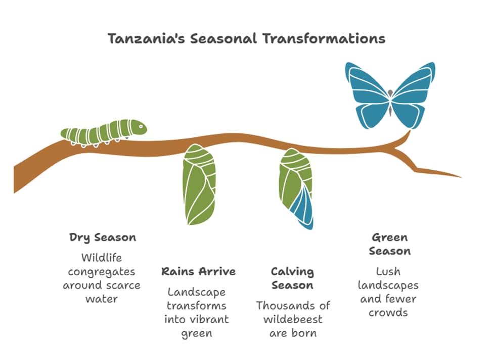 The Best Time to Visit Tanzania?