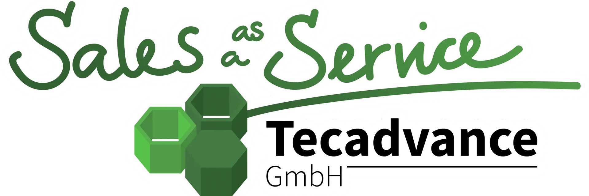 training.tecadvance logo